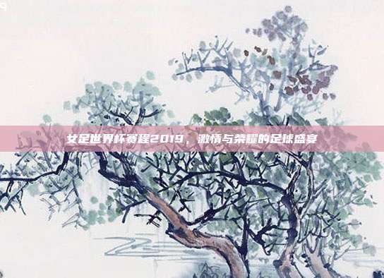 女足世界杯赛程2019，激情与荣耀的足球盛宴