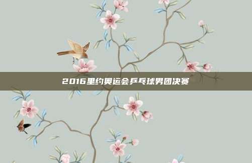 2016里约奥运会乒乓球男团决赛