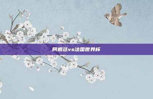 阿根廷vs法国世界杯