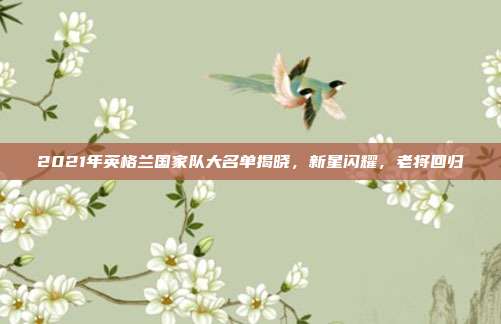 2021年英格兰国家队大名单揭晓,新星闪耀,老将回归