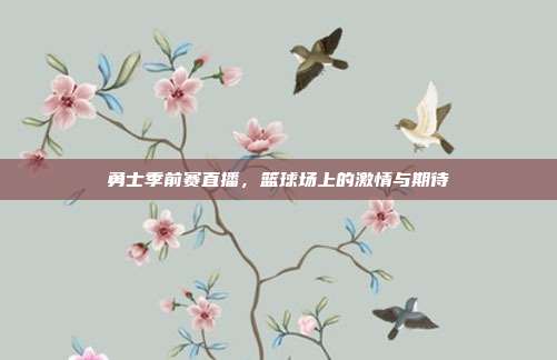勇士季前赛直播,篮球场上的激情与期待