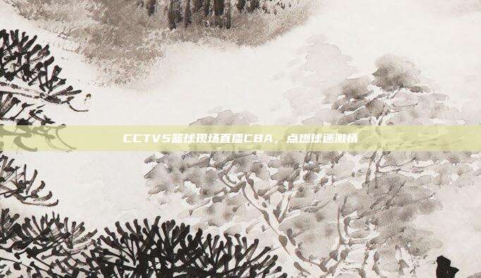 CCTV5篮球现场直播CBA，点燃球迷激情