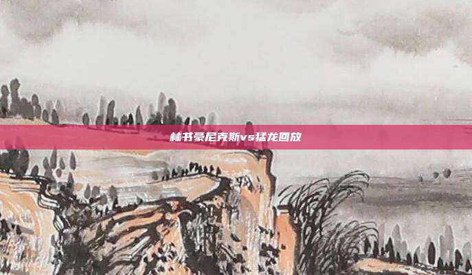 林书豪尼克斯vs猛龙回放