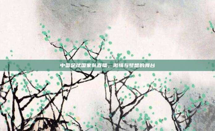 中国足球国家队直播,激情与梦想的舞台