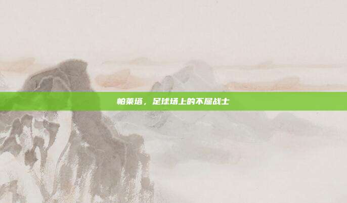 帕莱塔,足球场上的不屈战士