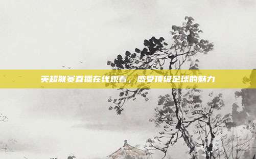 英超联赛直播在线观看,感受顶级足球的魅力