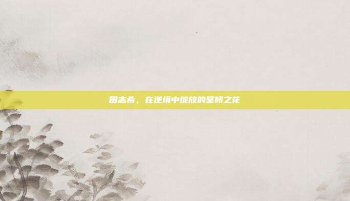 田志希,在逆境中绽放的坚韧之花