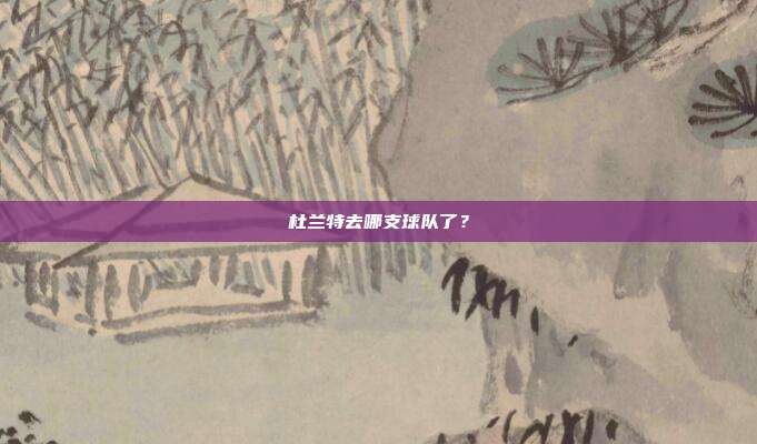 杜兰特去哪支球队了?