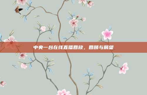 中央一台在线直播回放，回顾与展望