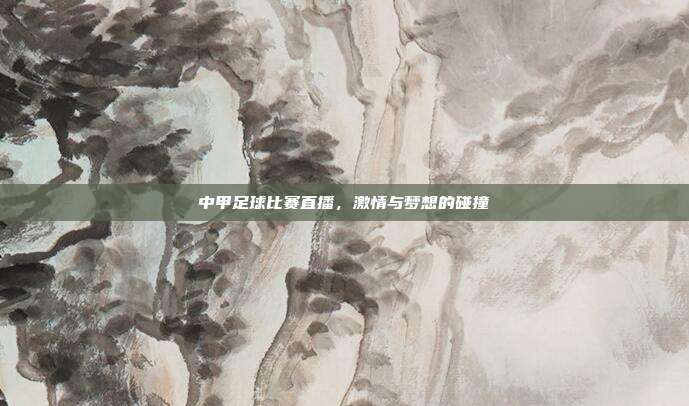 中甲足球比赛直播，激情与梦想的碰撞