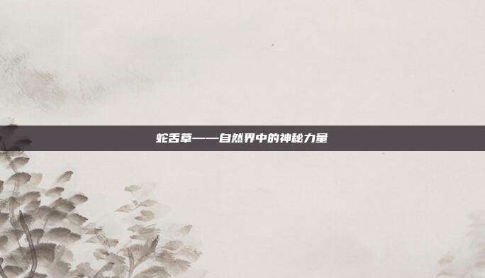 蛇舌草——自然界中的神秘力量