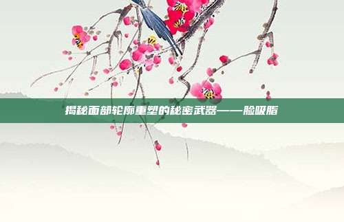 揭秘面部轮廓重塑的秘密武器——脸吸脂