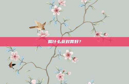 喝什么茶对胃好？