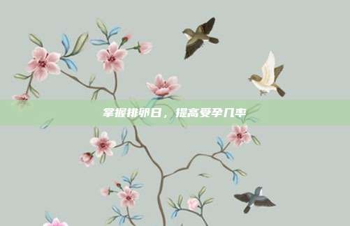 掌握排卵日，提高受孕几率