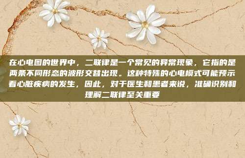 在心电图的世界中，二联律是一个常见的异常现象，它指的是两条不同形态的波形交替出现。这种特殊的心电模式可能预示着心脏疾病的发生，因此，对于医生和患者来说，准确识别和理解二联律至关重要
