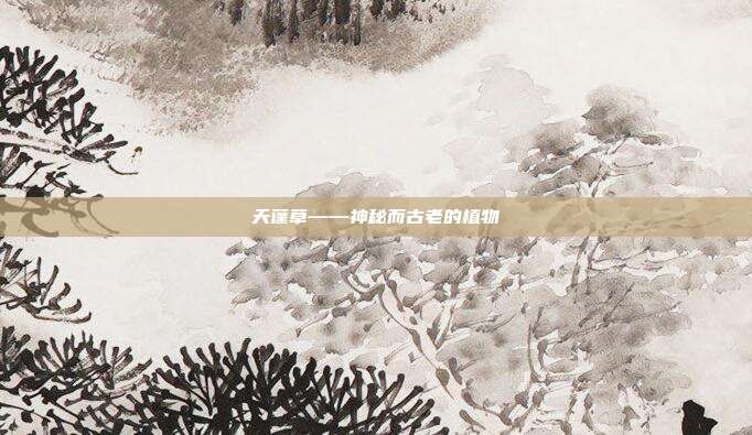 天蓬草——神秘而古老的植物