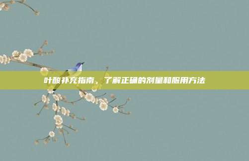 叶酸补充指南，了解正确的剂量和服用方法