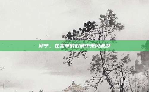 邱宁，在变革的浪潮中乘风破浪