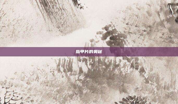 指甲片的奥秘
