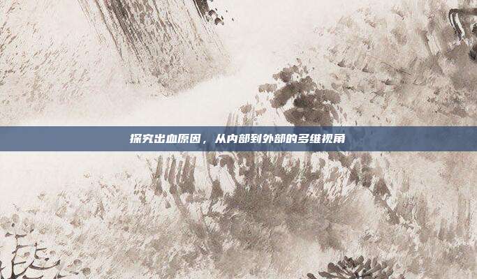 探究出血原因,从内部到外部的多维视角