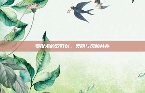 整形术的双刃剑,美丽与风险并存