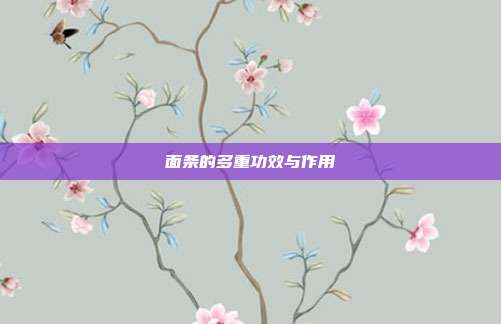面条的多重功效与作用