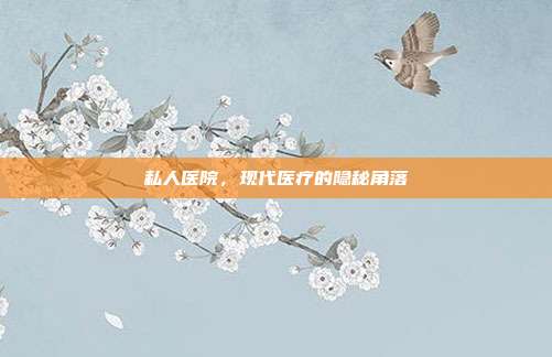 私人医院,现代医疗的隐秘角落