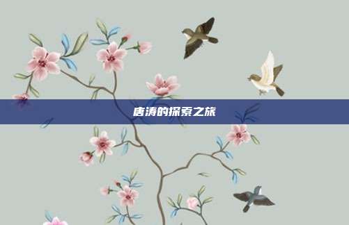 唐涛的探索之旅