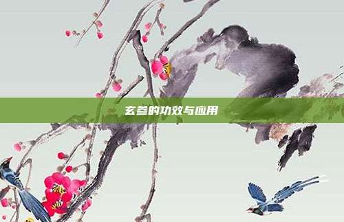 玄参的功效与应用