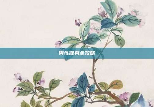 男性健身全攻略