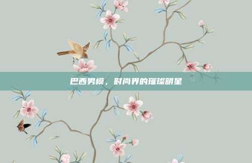 巴西男模,时尚界的璀璨明星