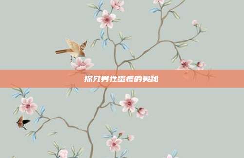 探究男性蛋疼的奥秘