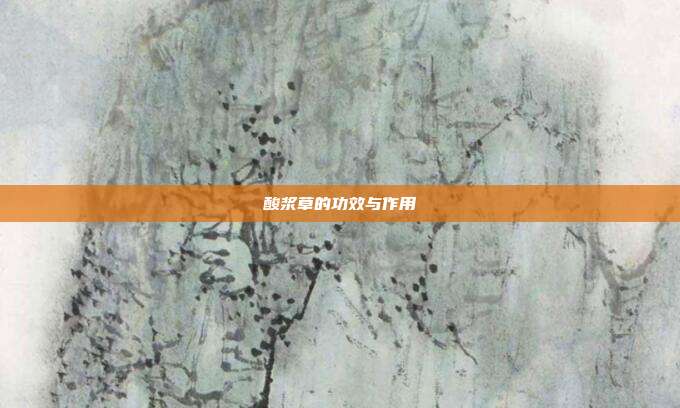 酸浆草的功效与作用