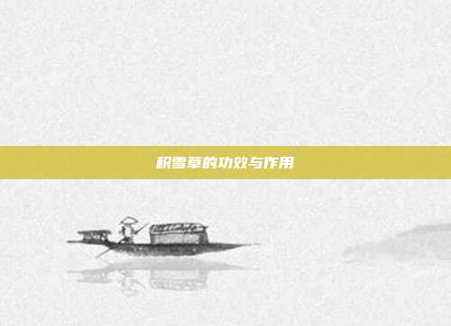 积雪草的功效与作用