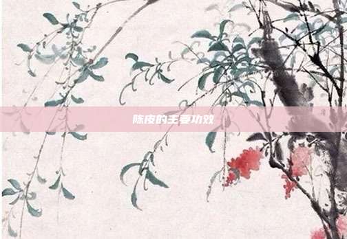 陈皮的主要功效