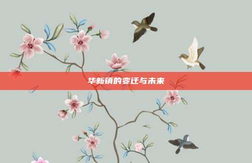 华新镇的变迁与未来