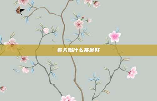 春天喝什么茶最好