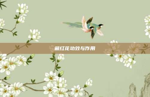 藏红花功效与作用