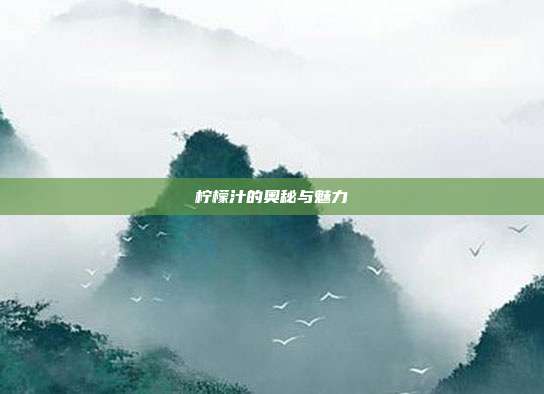 柠檬汁的奥秘与魅力