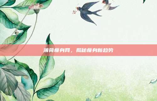 薄荷瘦身网，揭秘瘦身新趋势