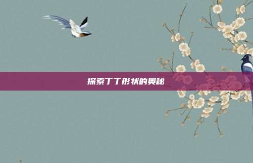 探索丁丁形状的奥秘