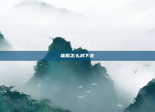 体脂怎么减下去