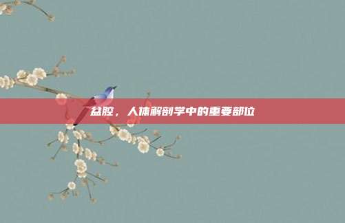 盆腔，人体解剖学中的重要部位