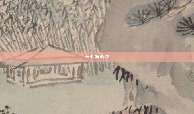 三七怎么吃