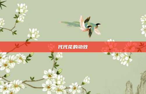 代代花的功效