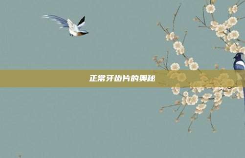 正常牙齿片的奥秘