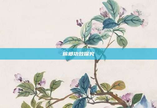 槟榔功效探究
