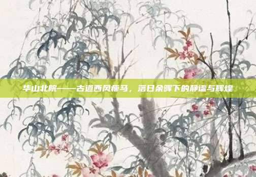 华山北院——古道西风瘦马,落日余晖下的静谧与辉煌