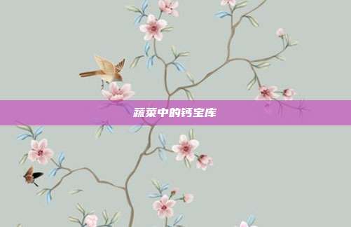 蔬菜中的钙宝库