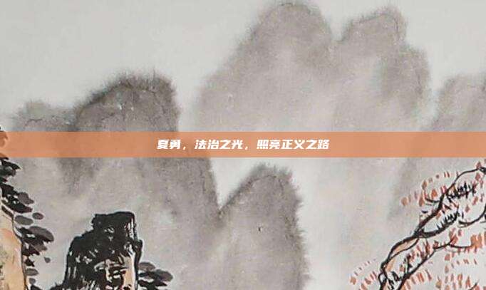 夏勇,法治之光,照亮正义之路